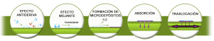 esquema-herofol-denso