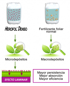 esquema3 (1)