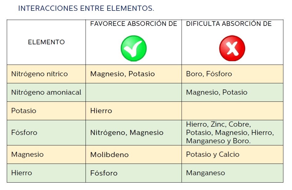 Sin título 2