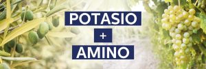 FERTIGOTA® AMINO POTASIO