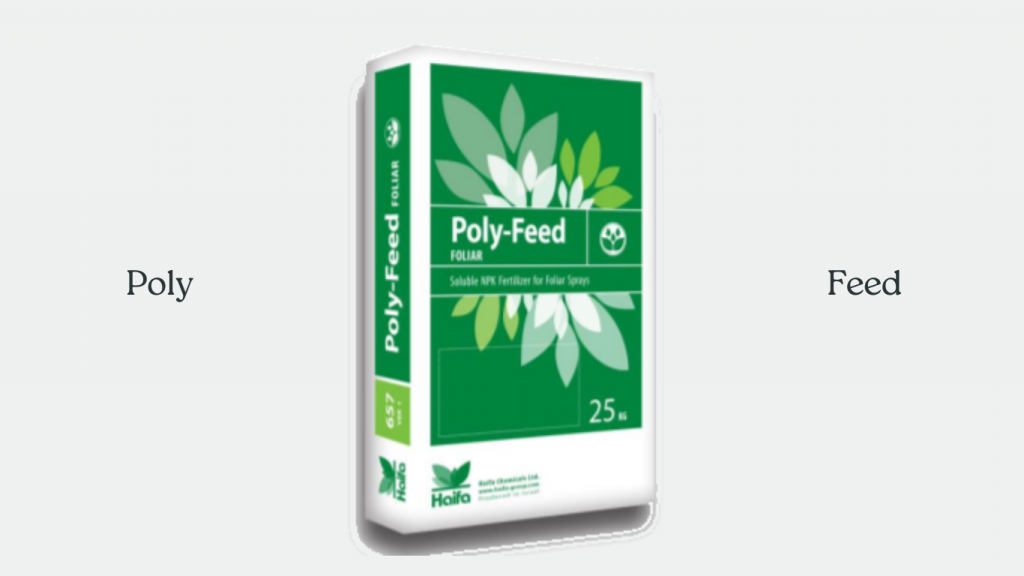 Poly-Feed